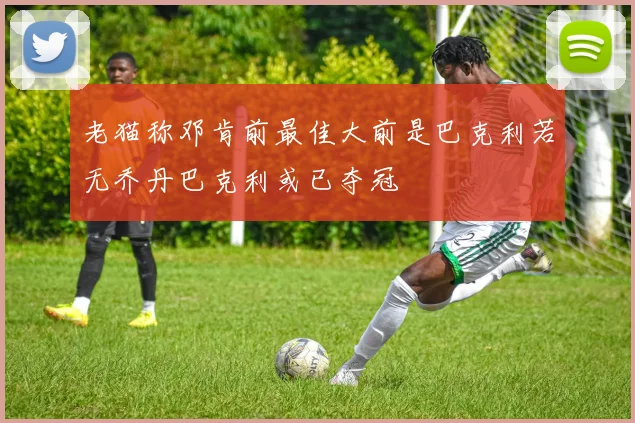 老猫称邓肯前最佳大前是巴克利若无乔丹巴克利或已夺冠
