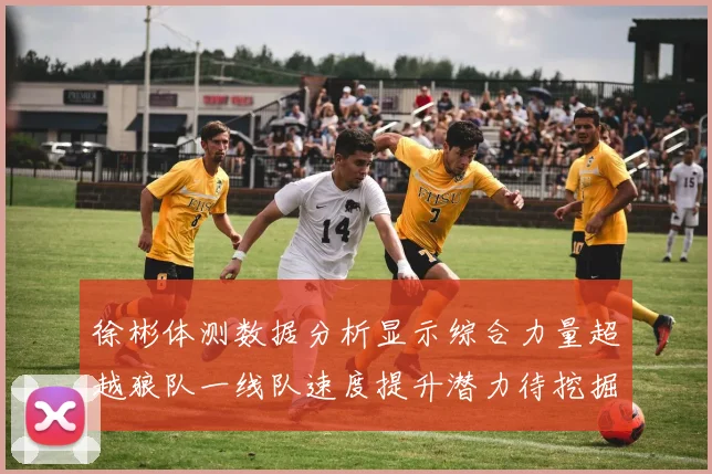 徐彬体测数据分析显示综合力量超越狼队一线队速度提升潜力待挖掘